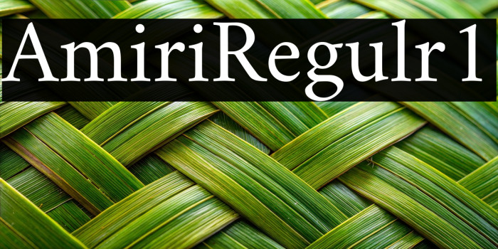 Amiri Regular1 Example 3