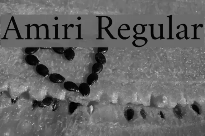 Amiri Regular Font examples