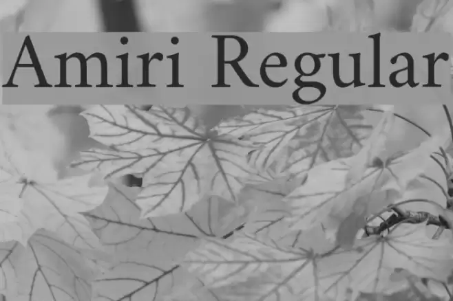 Amiri Regular Font examples