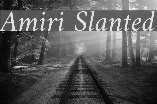 Amiri Slanted Font examples