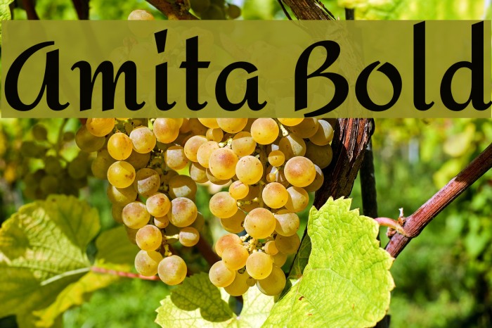 Amita Bold फ़ॉन्ट examples