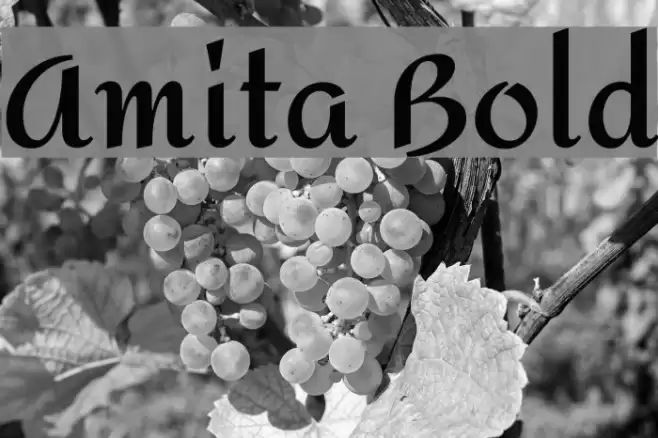 Amita Bold फ़ॉन्ट examples