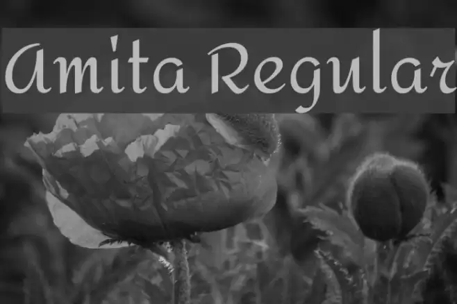 Amita Regular Font examples