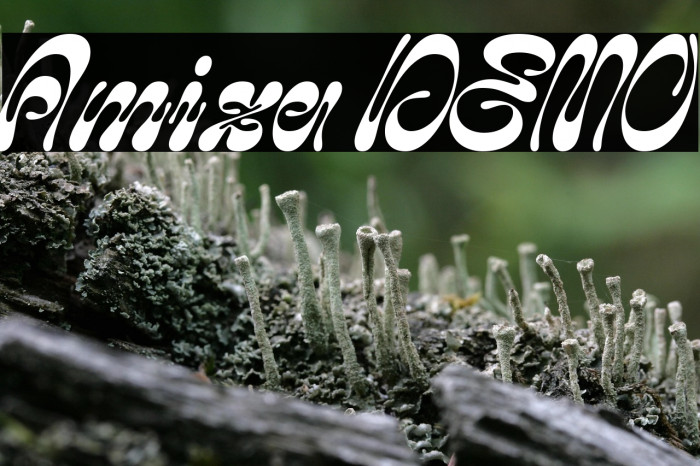 Amiza DEMO Font examples