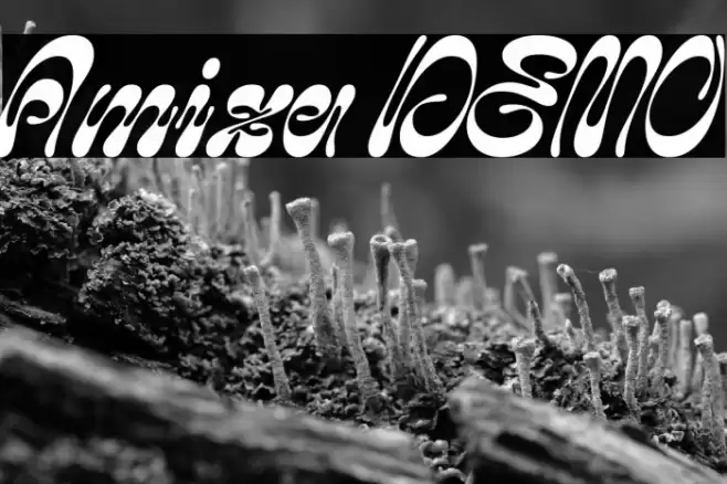 Amiza DEMO Font examples