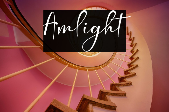 Amlight Example 2