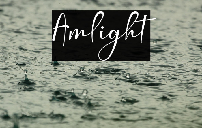Amlight Example 3