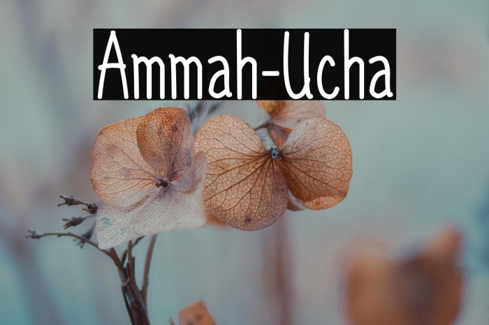 Ammah-Ucha Example 1