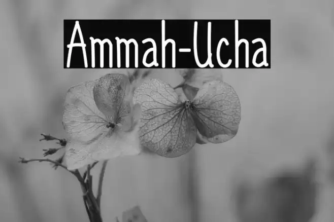 Ammah-Ucha Font examples