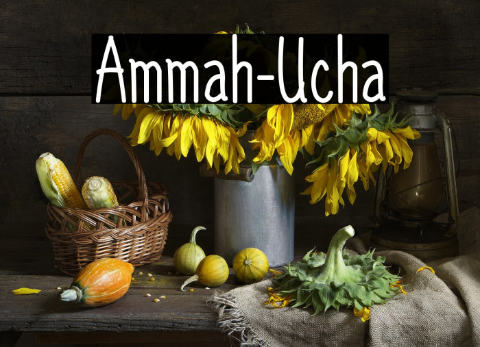 Ammah-Ucha Example 2