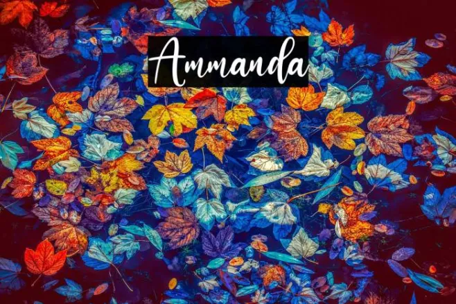 Ammanda Example 2