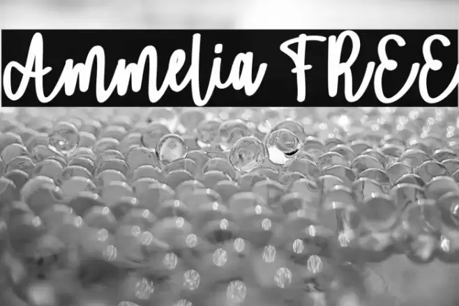Ammelia FREE Font examples