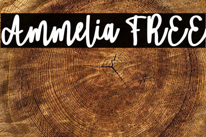 Ammelia FREE Example 3