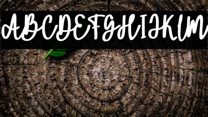 AmmeliaFREE Example 2