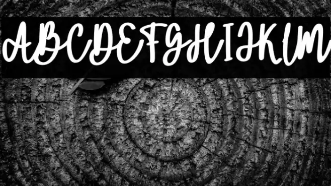 AmmeliaFREE خط examples