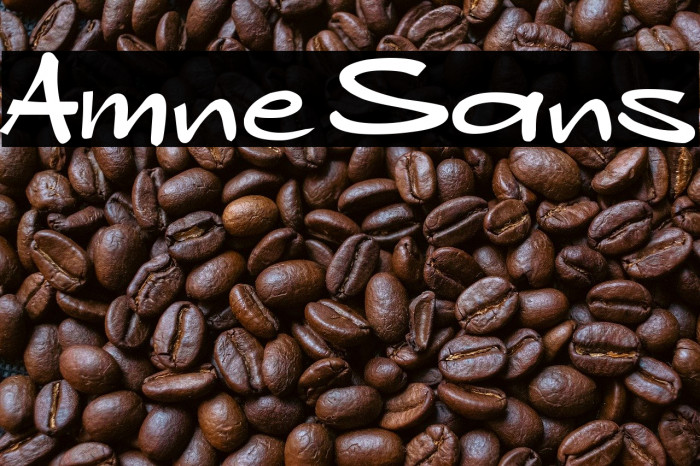 Amne Sans Example 1