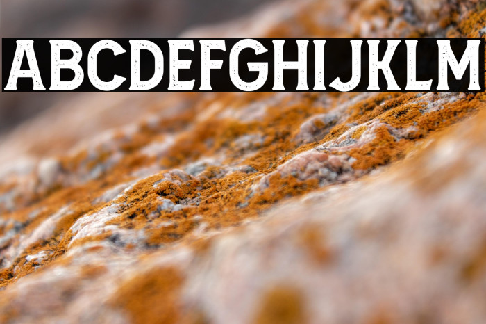 AmnestiaDistressed Example 1