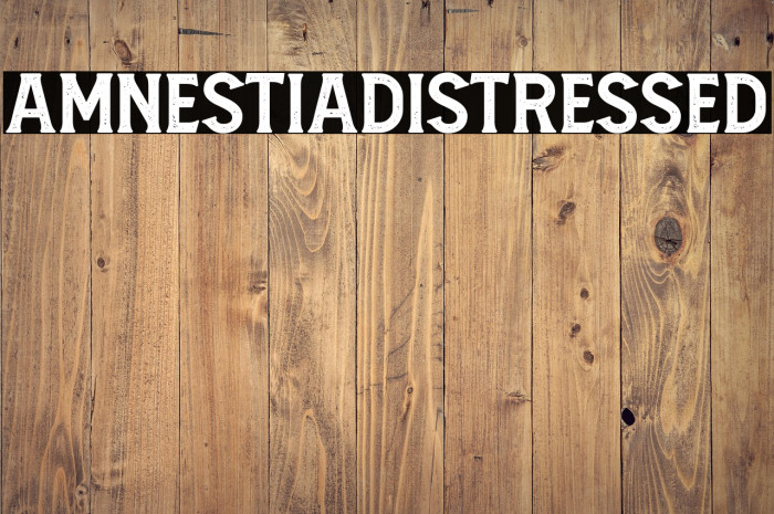 AmnestiaDistressed Example 1