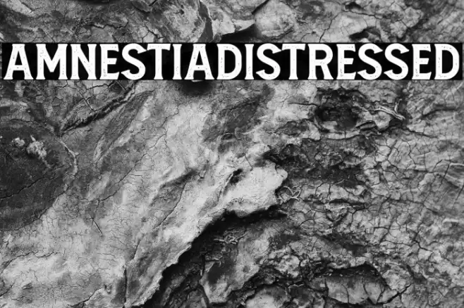 AmnestiaDistressed Font examples