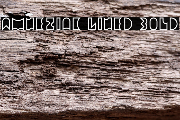 Amneziak Lined Bold Example 2