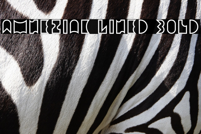 Amneziak Lined Bold Example 3