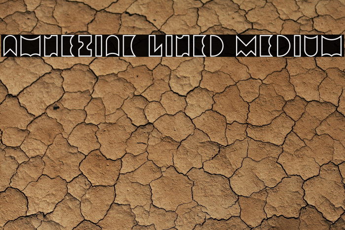 Amneziak Lined Medium Example 1