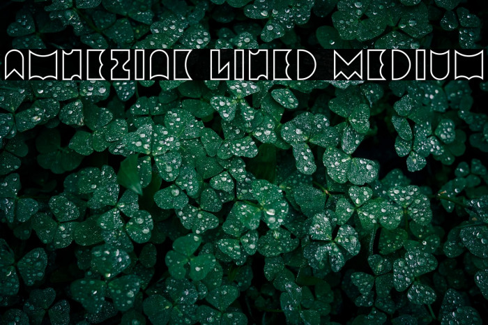 Amneziak Lined Medium Example 3