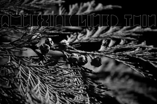 Amneziak Lined Thin Font examples