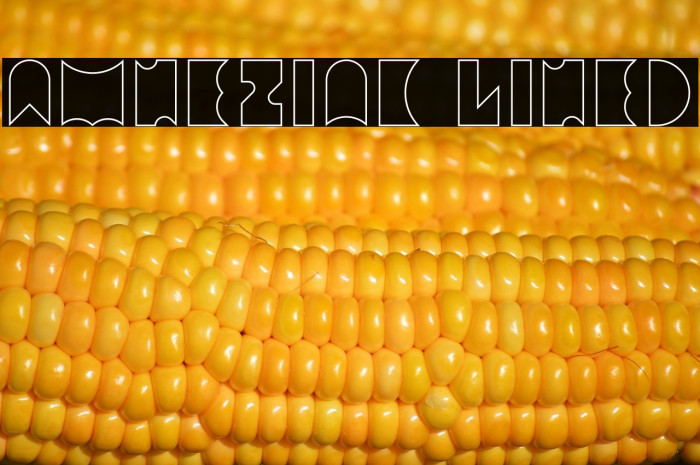 Amneziak Lined Example 1