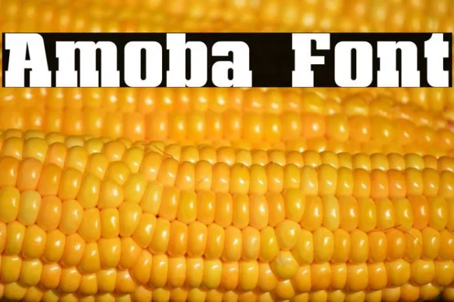 Amoba Example 1