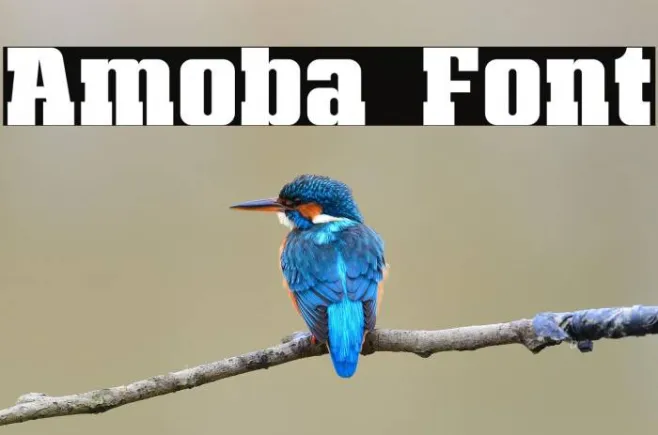 Amoba Example 3