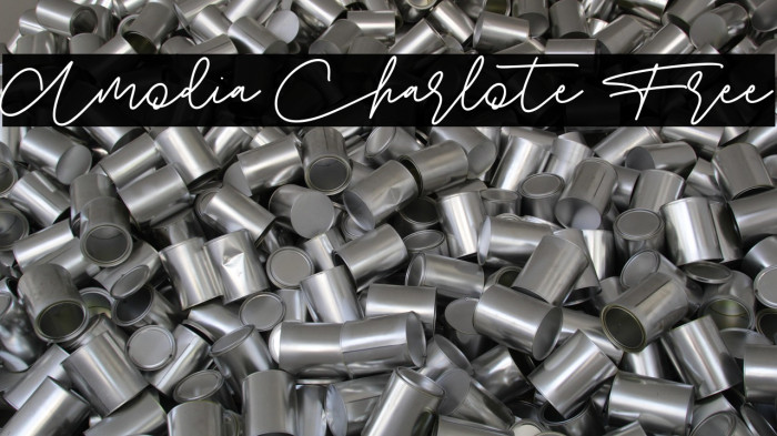 Amodia Charlote Free Example 2