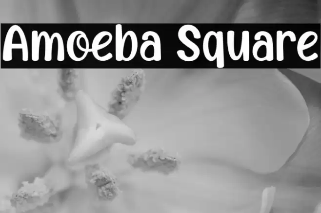 Amoeba Square Font examples