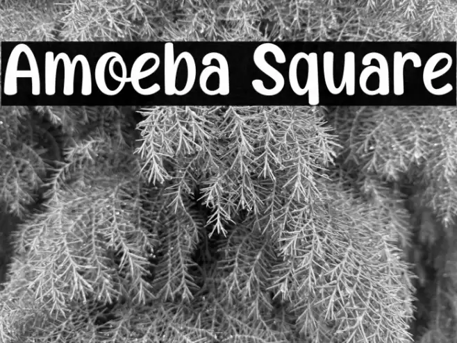 Amoeba Square Font examples