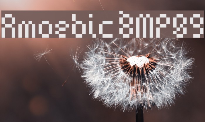 Amoebic BMP09 Example 1