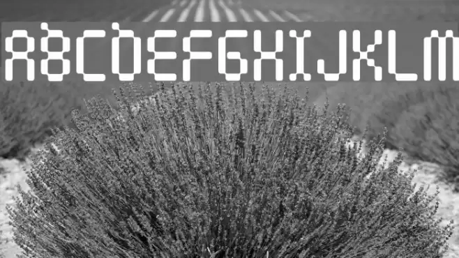 Amoebic Font examples