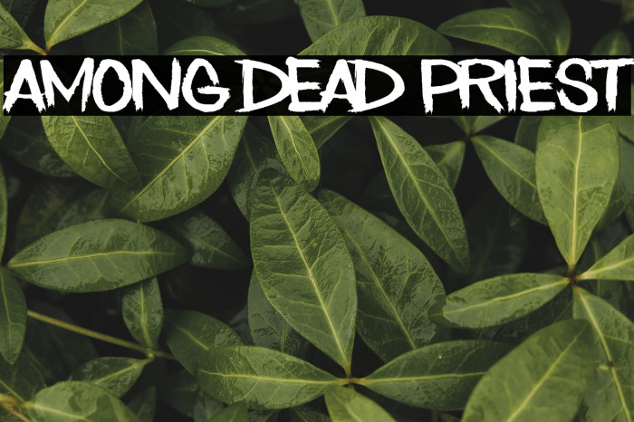Among Dead Priest Example 1