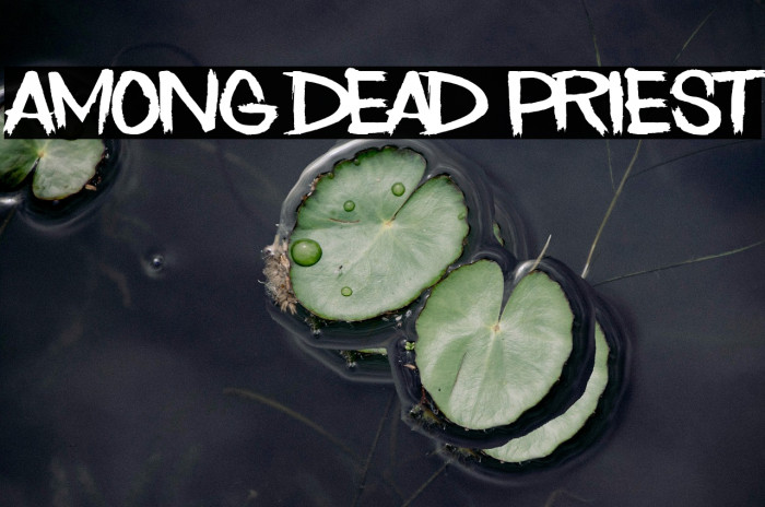 Among Dead Priest Example 3