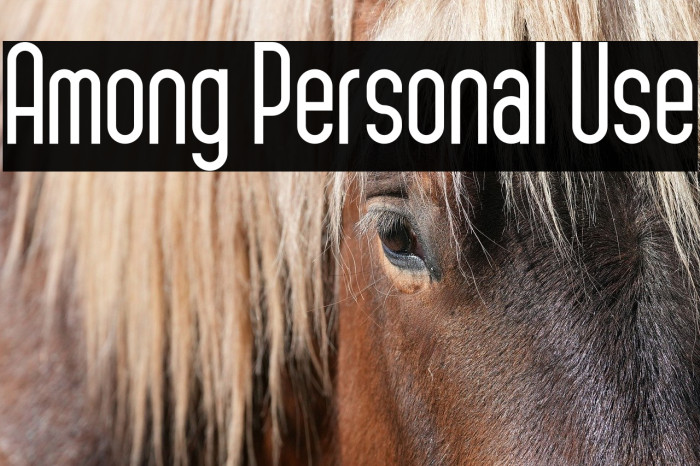 Among Personal Use Example 1