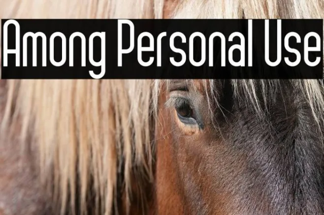 Among Personal Use Example 1