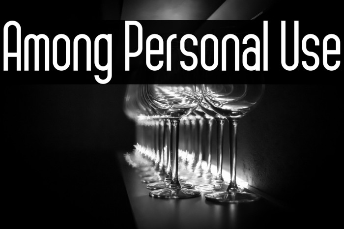 Among Personal Use Example 2