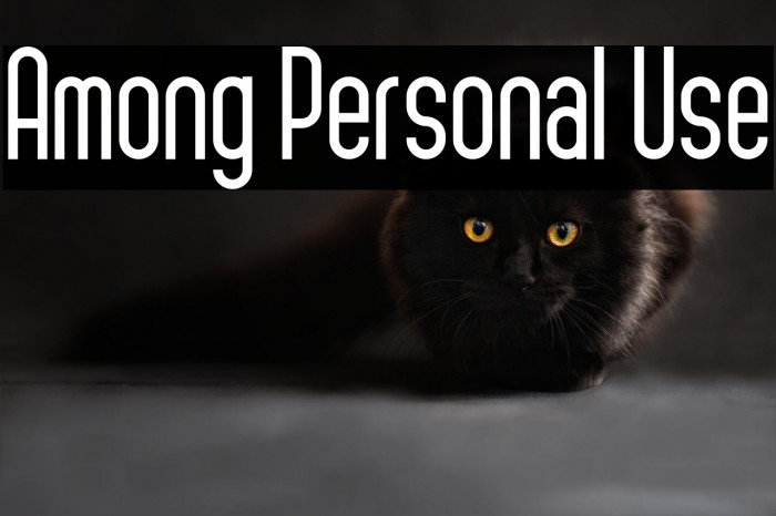 Among Personal Use Example 3