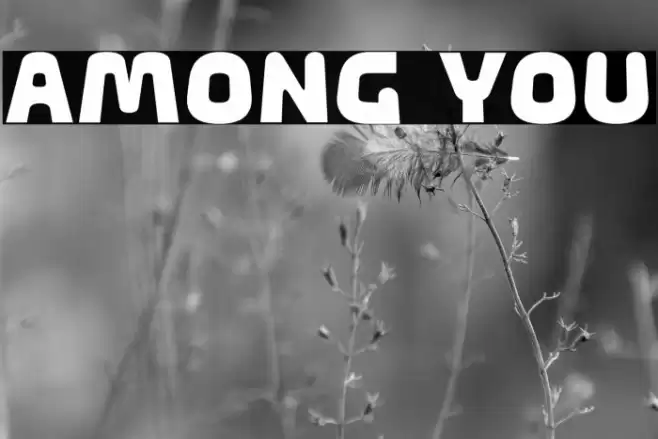 Among You Font examples