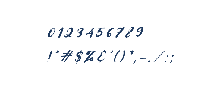 Amongh Sein Italic Other Characters