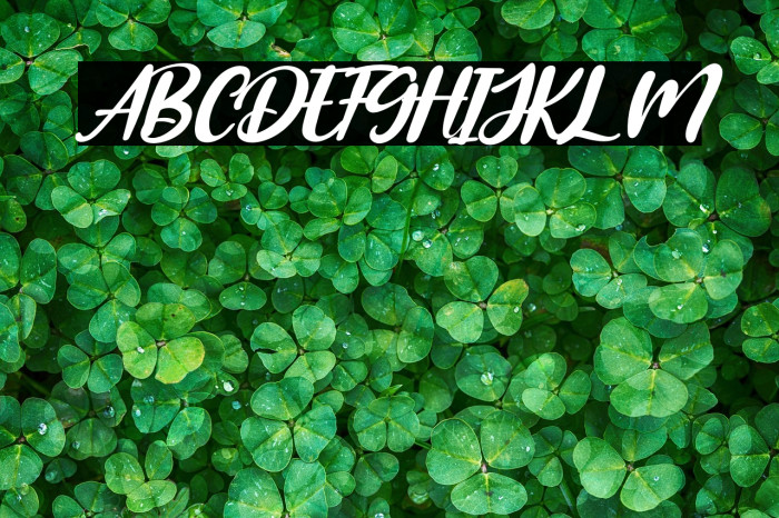 Amongh Sein Italic Example 2