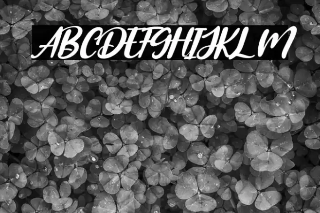 Amongh Sein Italic Font examples