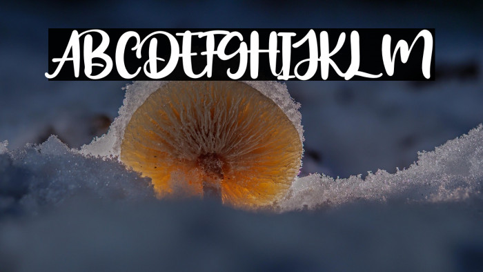 Amongh Sein Example 1