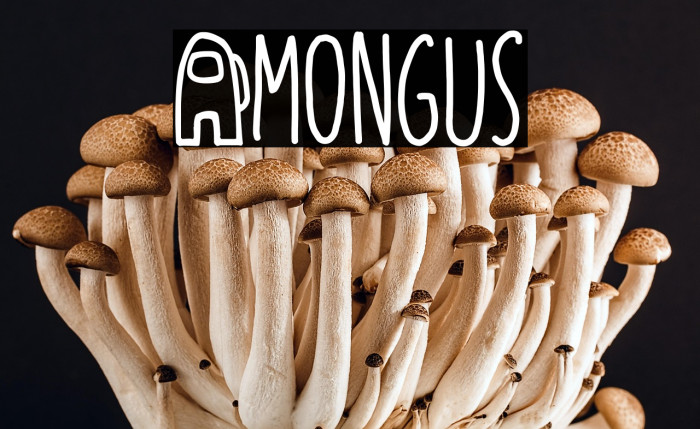 Amongus Example 1