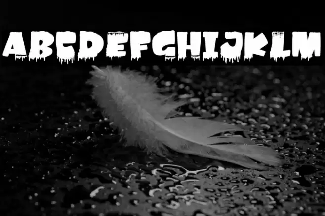 Amonk-Ice Font examples