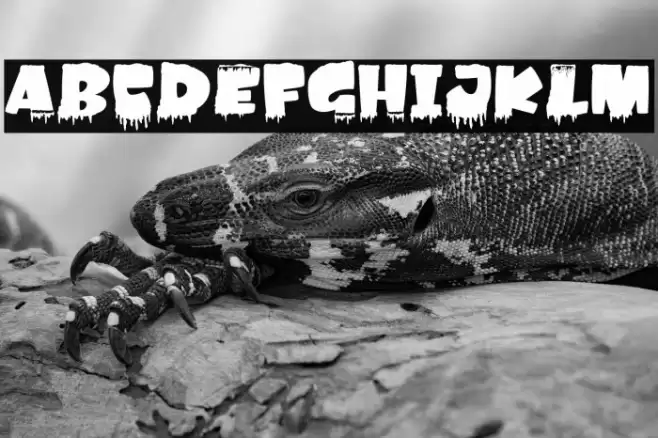 Amonk-Ice Font examples